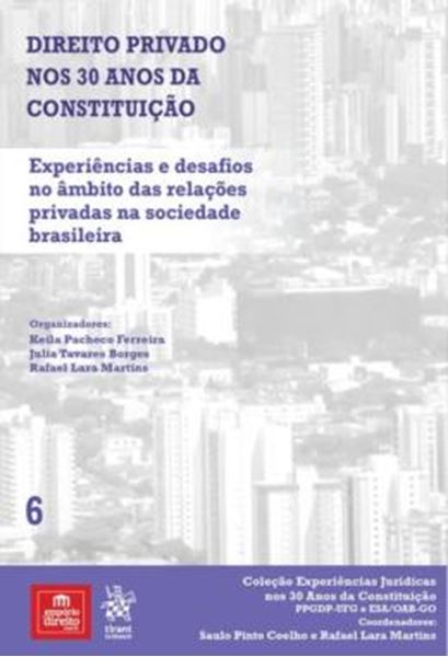 Picture of EXPERIENCIAS E DESAFIOS NO AMBITO DAS RELACOES PRIVADAS NA SOCIEDADE BRASILEIRA - VOLUME 6