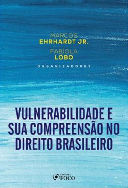 Picture of VULNERABILIDADE E SUA COMPREENSAO NO DIREITO BRASILEIRO