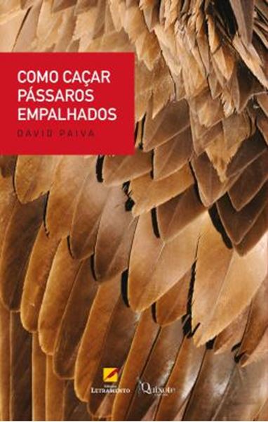 Picture of COMO CACAR PASSAROS EMPALHADOS