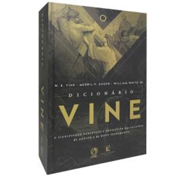 Picture of DICIONARIO VINE