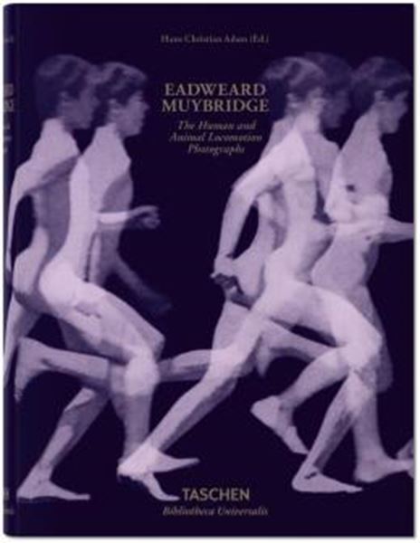 Picture of EADWEARD MUYBRIDGE - THE HUMAN AND ANIMAL LOCOMOTION PHOTOGRAPHS