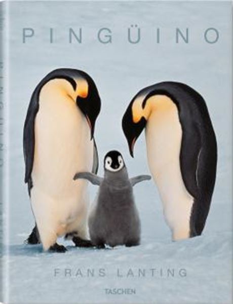 Picture of PINGUINO