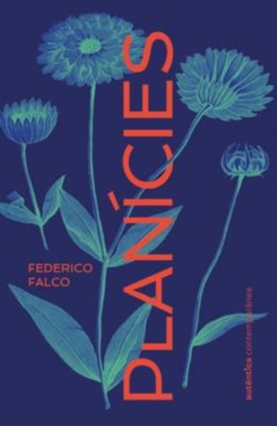 Picture of PLANICIES