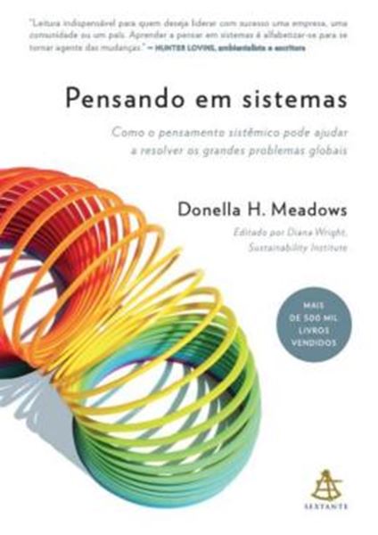 Picture of PENSANDO EM SISTEMAS