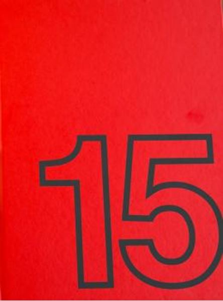 Picture of IDEA! ZARVOS 15