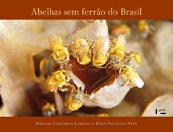 Picture of ABELHAS SEM FERRAO DO BRASIL - VOLUME 1 - 2ªED