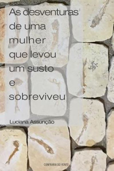Picture of AS DESVENTURAS DE UMA MULHER QUE LEVOU UM SUSTO E SOBREVIVEU - 2ª ED