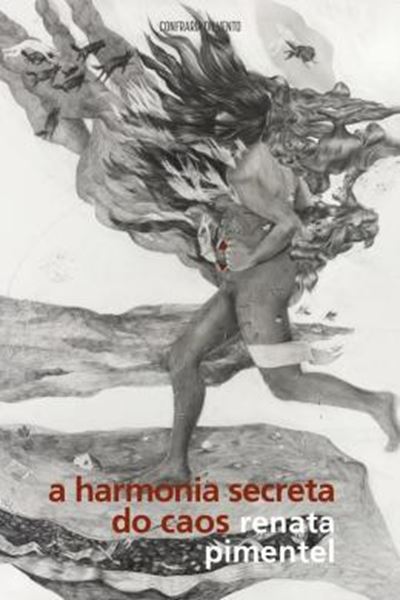 Picture of A HARMONIA SECRETA DO CAOS