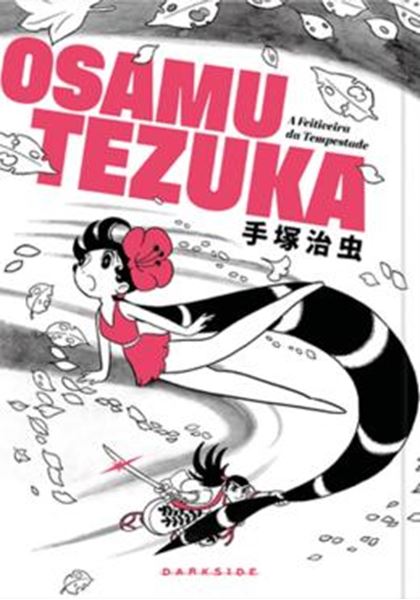 Picture of A FEITICEIRA DA TEMPESTADE