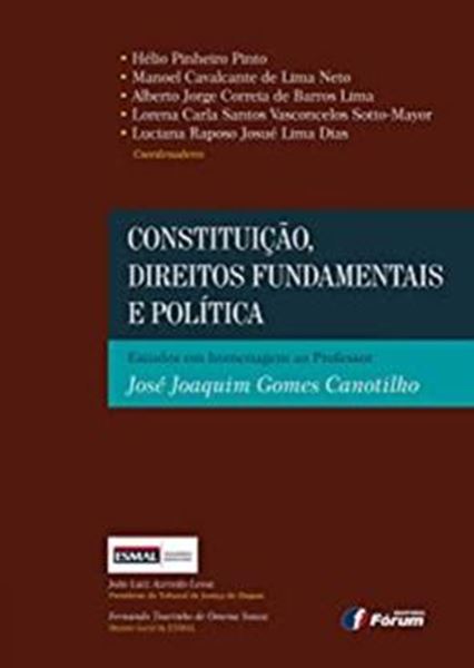 Picture of CONSTITUICAO  DIREITOS FUNDAMENTAIS E POLITICA