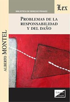 Imagem de PROBLEMAS DE LA RESPONSABILIDAD Y DEL DANO