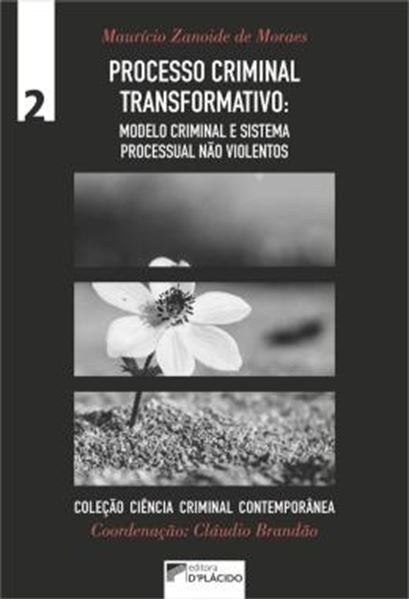 Picture of PROCESSO CRIMINAL TRANSFORMATIVO: MODELO CRIMINAL E SISTEMA PROCESSUAL NAO VIOLENTOS