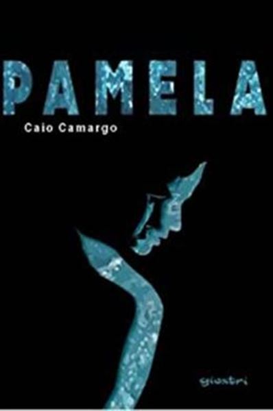 Picture of PAMELA
