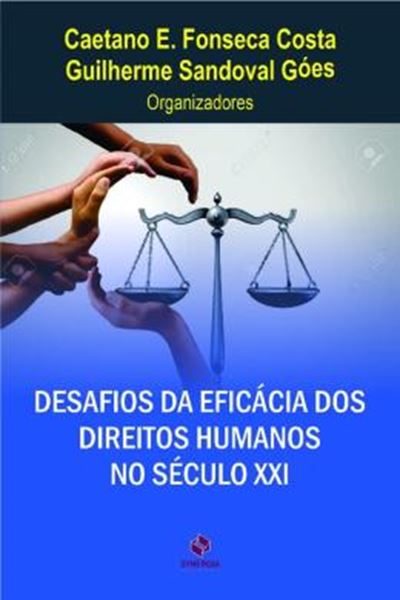 Picture of DESAFIOS DA EFICACIA DOS DIREITOS HUMANOS NO SECULO XXI