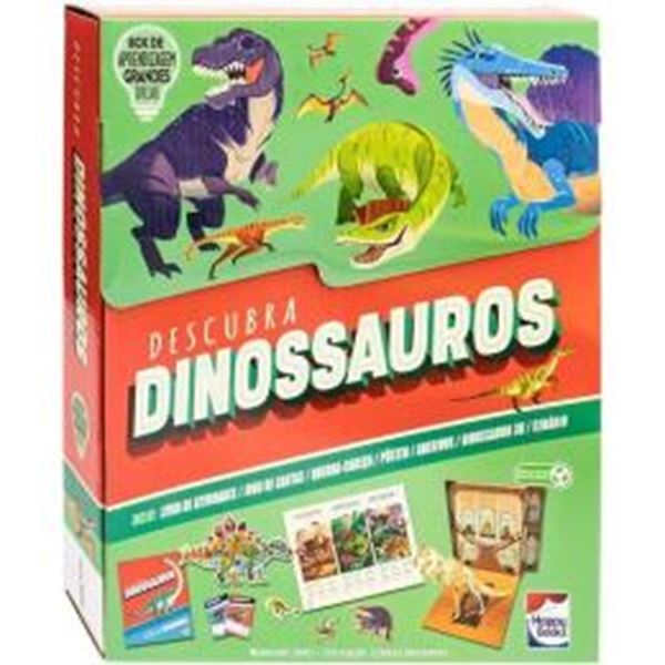 Picture of BOX DE APRENDIZAGEM GRANDES IDEAIS - DESCUBRA DINOSSAUROS