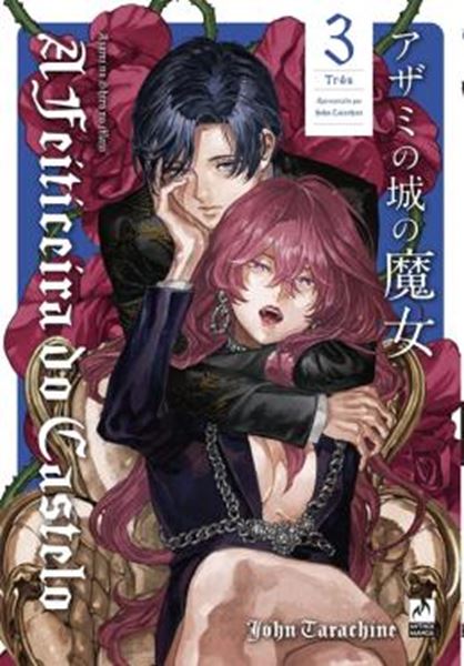 Picture of A FEITICEIRA DO CASTELO 3