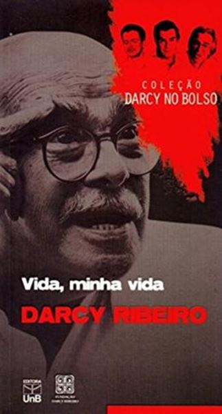 Picture of VIDA, MINHA VIDA - VOLUME 6 - COLECAO DARCY NO BOLSO