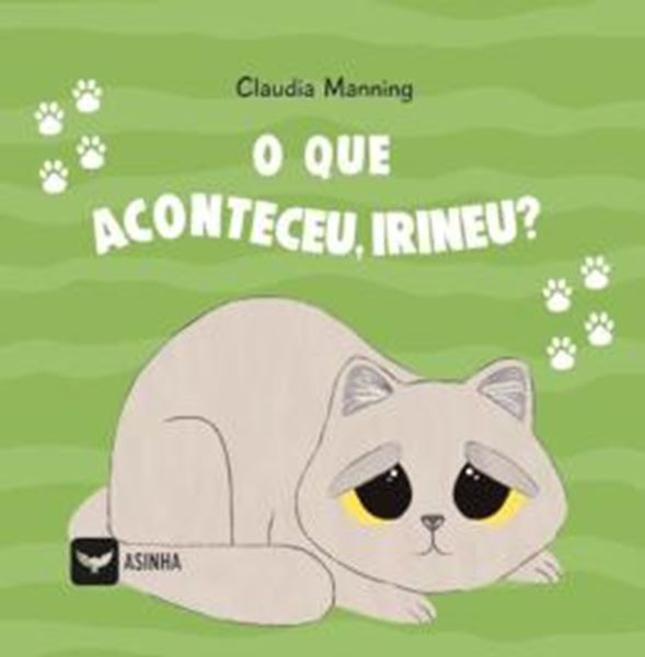 Picture of QUE ACONTECEU, IRINEU?, O