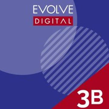 Imagem de EVOLVE 3B DIGITAL STUDENT´S COURSE