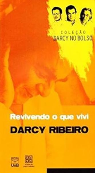 Picture of REVIVENDO O QUE VIVI - VOLUME 4 - COLECAO DARCY NO BOLSO