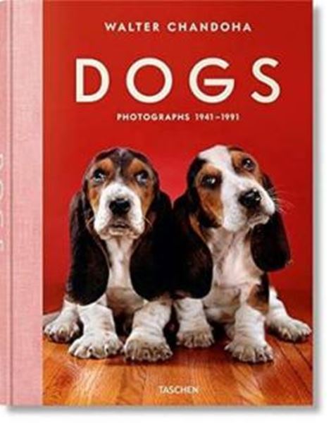 Picture of DOGS - PHOTOGRAPHS 1941-1991