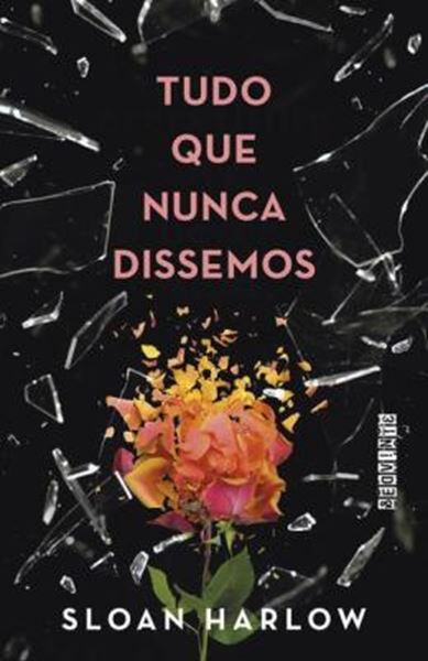 Picture of TUDO QUE NUNCA DISSEMOS