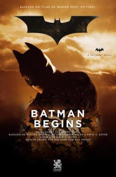 Picture of BATMAN BEGINS
