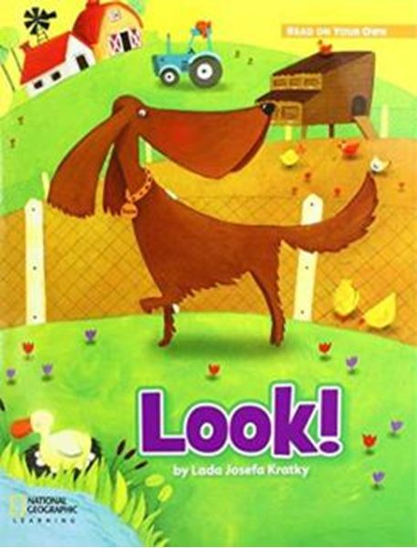 Picture of PHONICS LEVEL KINDERGARTEN - LOOK!