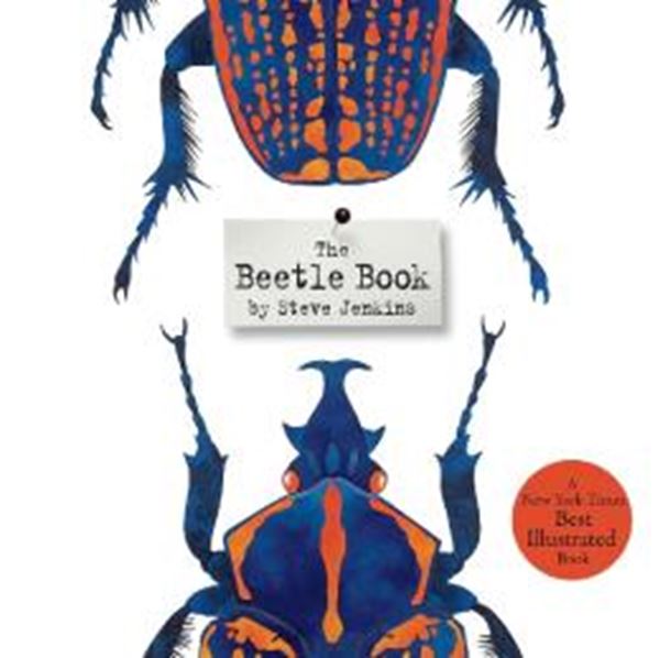 Picture of THE BEETLE BOOK