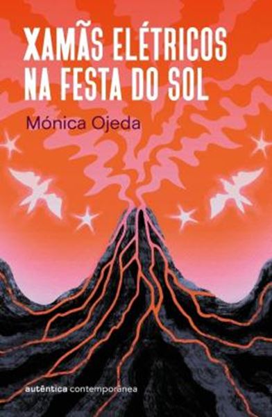 Picture of XAMÃS ELÉTRICOS NA FESTA DO SOL