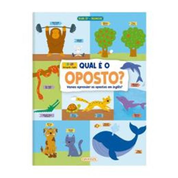 Picture of QUAL E O OPOSTO? - VAMOS APRENDER OS OPOSTOS EM INGLES?