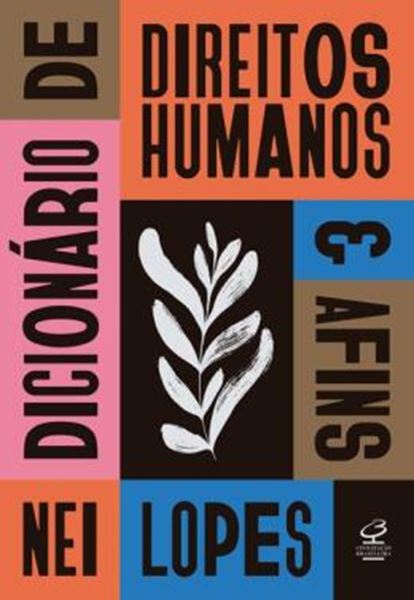 Picture of DICIONARIO DE DIREITOS HUMANOS E AFINS