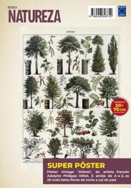 Picture of ADOLPHE PHILIPPE MILLOT: ARBRES 2 - SUPERPOSTER NATUREZA