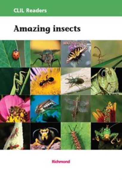 Picture of AMAZING INSECTS