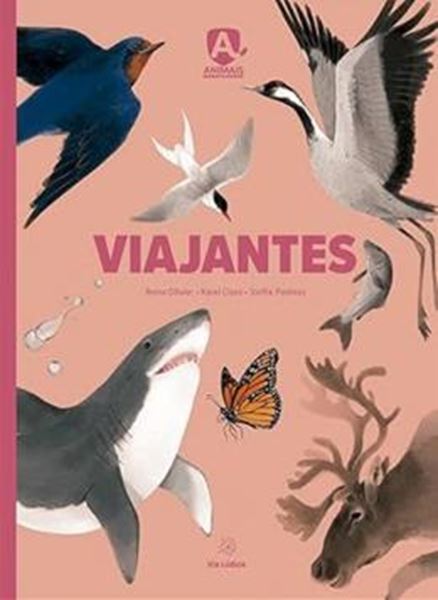 Picture of VIAJANTES