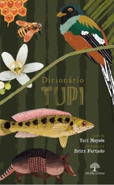 Picture of DICIONARIO TUPI