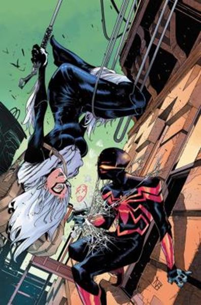 Picture of MILES MORALES: HOMEM-ARANHA (2025) 12