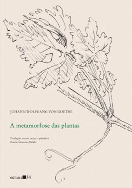 Picture of A METAMORFOSE DAS PLANTAS